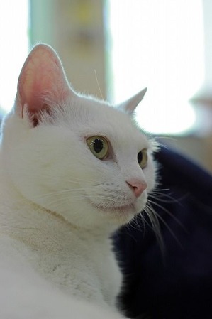 IMG_2996_edited-1