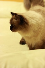 IMG_8219