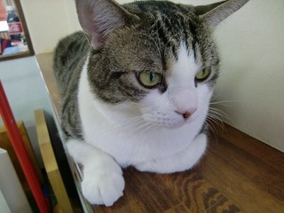 CIMG0424