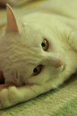 IMG_5380