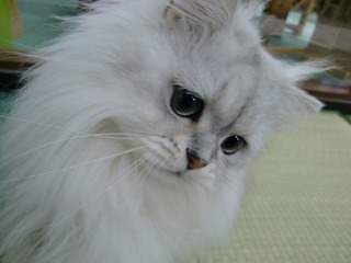 CIMG0382
