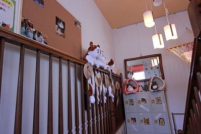 nekomanma_2164_edited-1