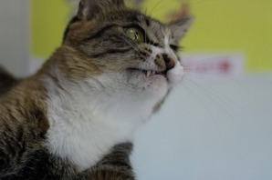 IMG_0022