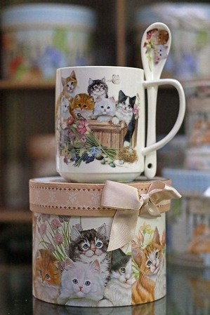 nekomanma_5735_edited-1