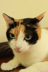 IMG_4764