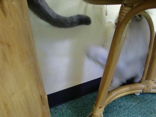 CIMG0463