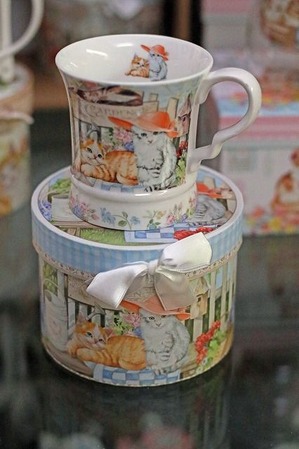 nekomanma_5731_edited-1