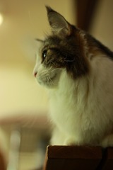 IMG_8063