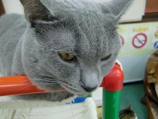 CIMG0651