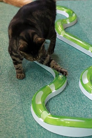 nekomanma_8669_edited-1