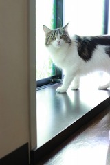 IMG_7005