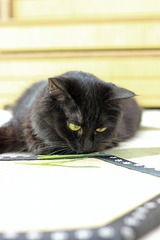 IMG_5916_edited-1