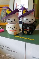 nekomanma_5912_edited-1