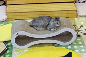 IMG_9955_edited-1