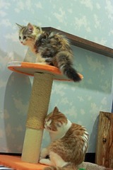 IMG_3280_edited-1