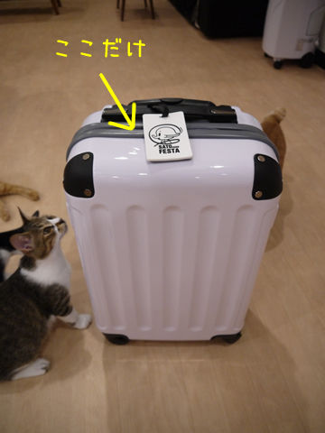 猫式ブログ~里親募集型猫カフェ
