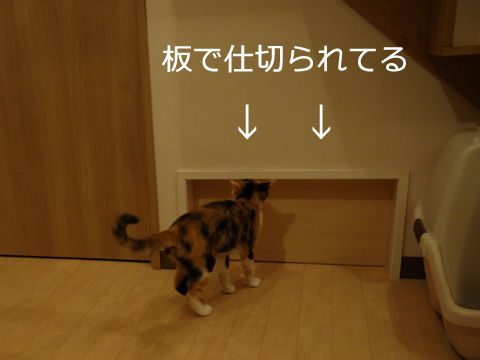 猫式ブログ~里親募集型猫カフェ