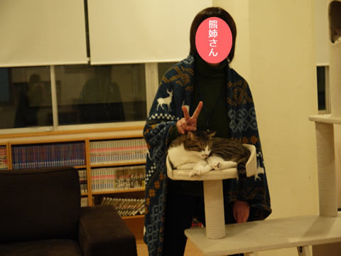 猫式ブログ~里親募集型猫カフェ