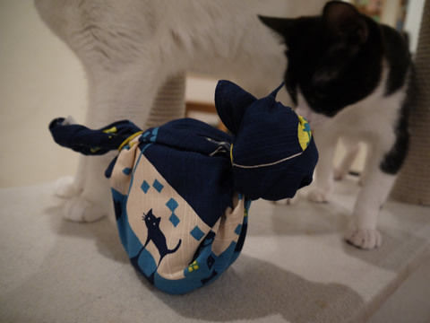 猫式ブログ~里親募集型猫カフェ