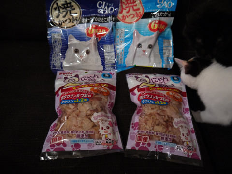 猫式ブログ~里親募集型猫カフェ
