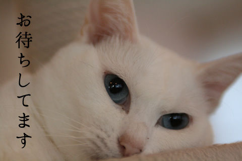 ■IMG_6282