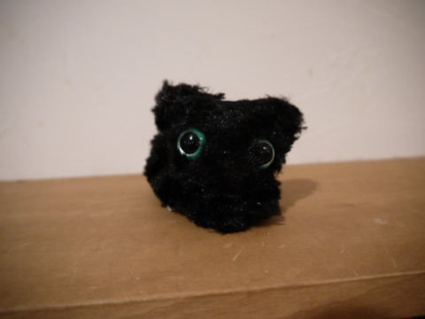 猫式ブログ~里親募集型猫カフェ