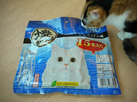 猫式ブログ~里親募集型猫カフェ