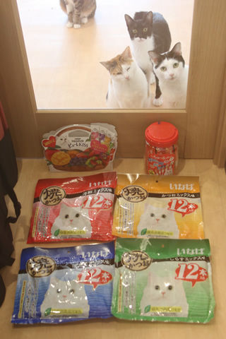 ぼっちゃんの相方