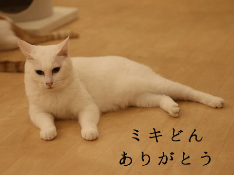 ■IMG_1958_r1_c2