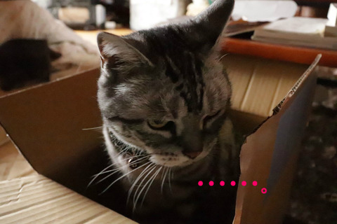 うむぅ・・・。