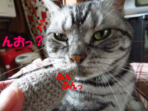 !?