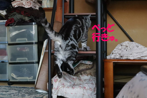 ふんっだ。