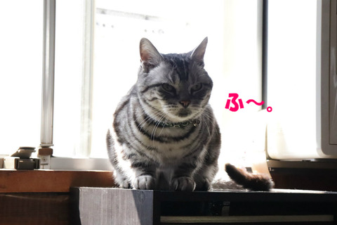 ・・・。