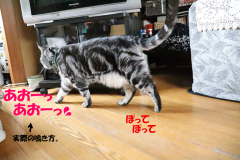 うんちでりゅ~っ💦