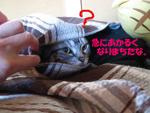 へんなの。