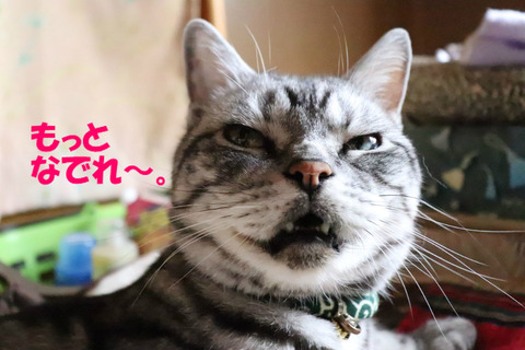 もっと~。