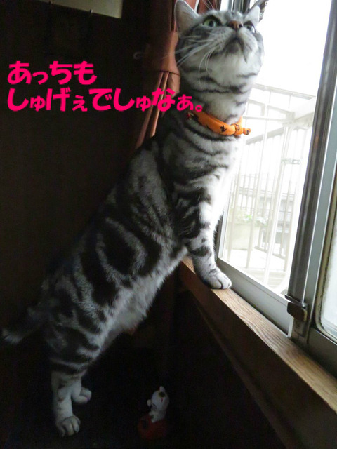 うおぅ。