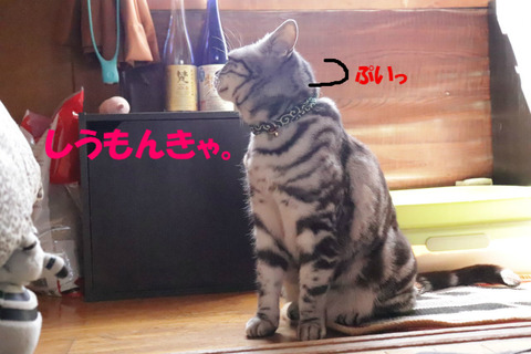 ふんっ。