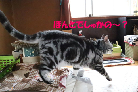 むーん。