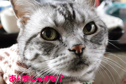 ねっ?