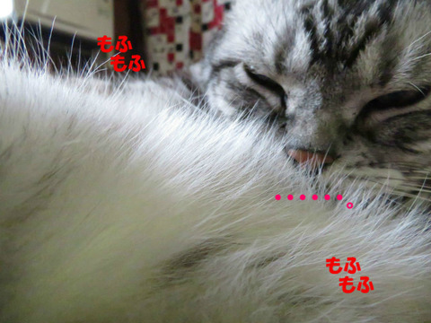 BlogPaint