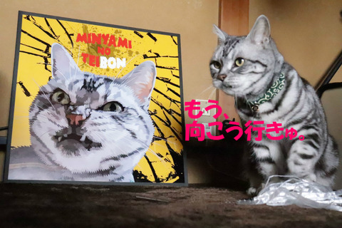 飽きまちた。