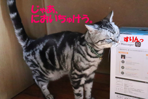 とりあえじゅきーぷでしゅとも。