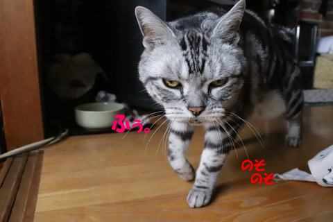 んー。