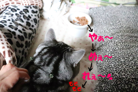 何をしう~💦