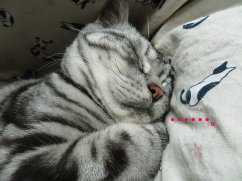 静かにちててね。