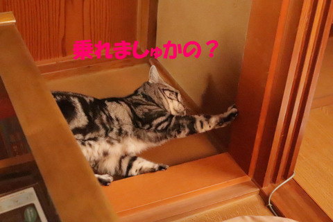 もっと行きたいでしゅとも。