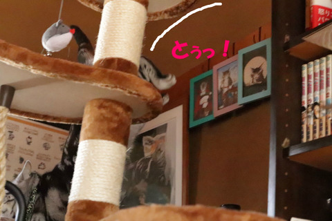 えいっ!