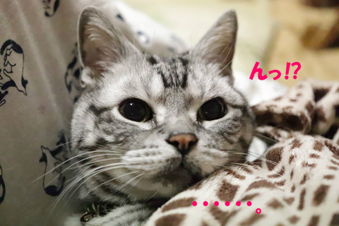 !?