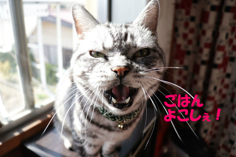さぁっ!